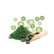 BIO vznášadlo-chlorella-sviňa