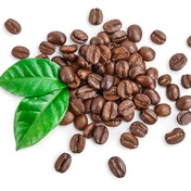 coffea