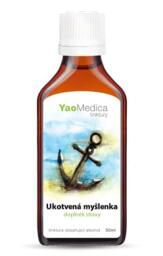 042 - Ukotven mylienka