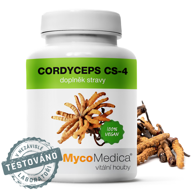 Cordyceps cs-4_detail s razitkem