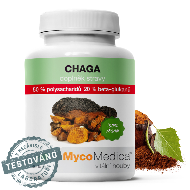 Chaga_detail s razitkem_50%