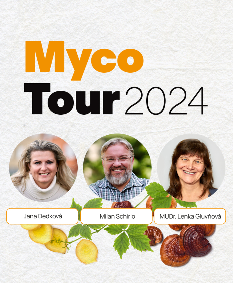 MycoTour - seminre o hubch a bylinch