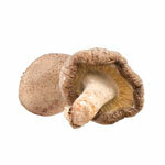 BIO prok Shiitake