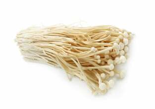 huby enoki